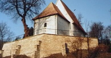 Fundaţia „Teleki László” a identificat în satul Viştea probabil cea mai veche structură de acoperiş existentă în Transilvania